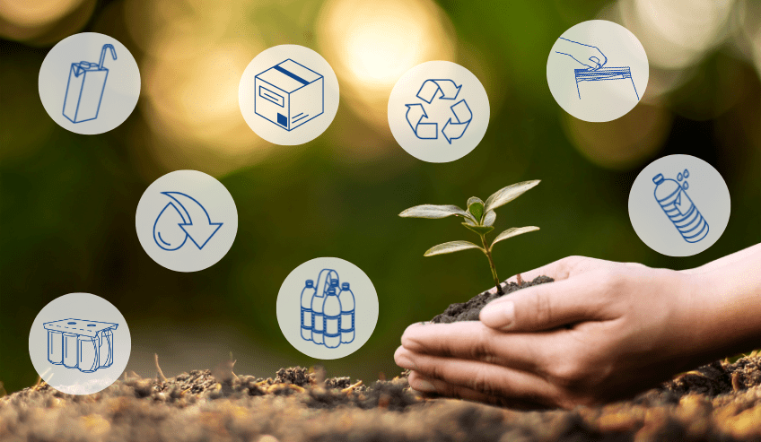 planting a tree